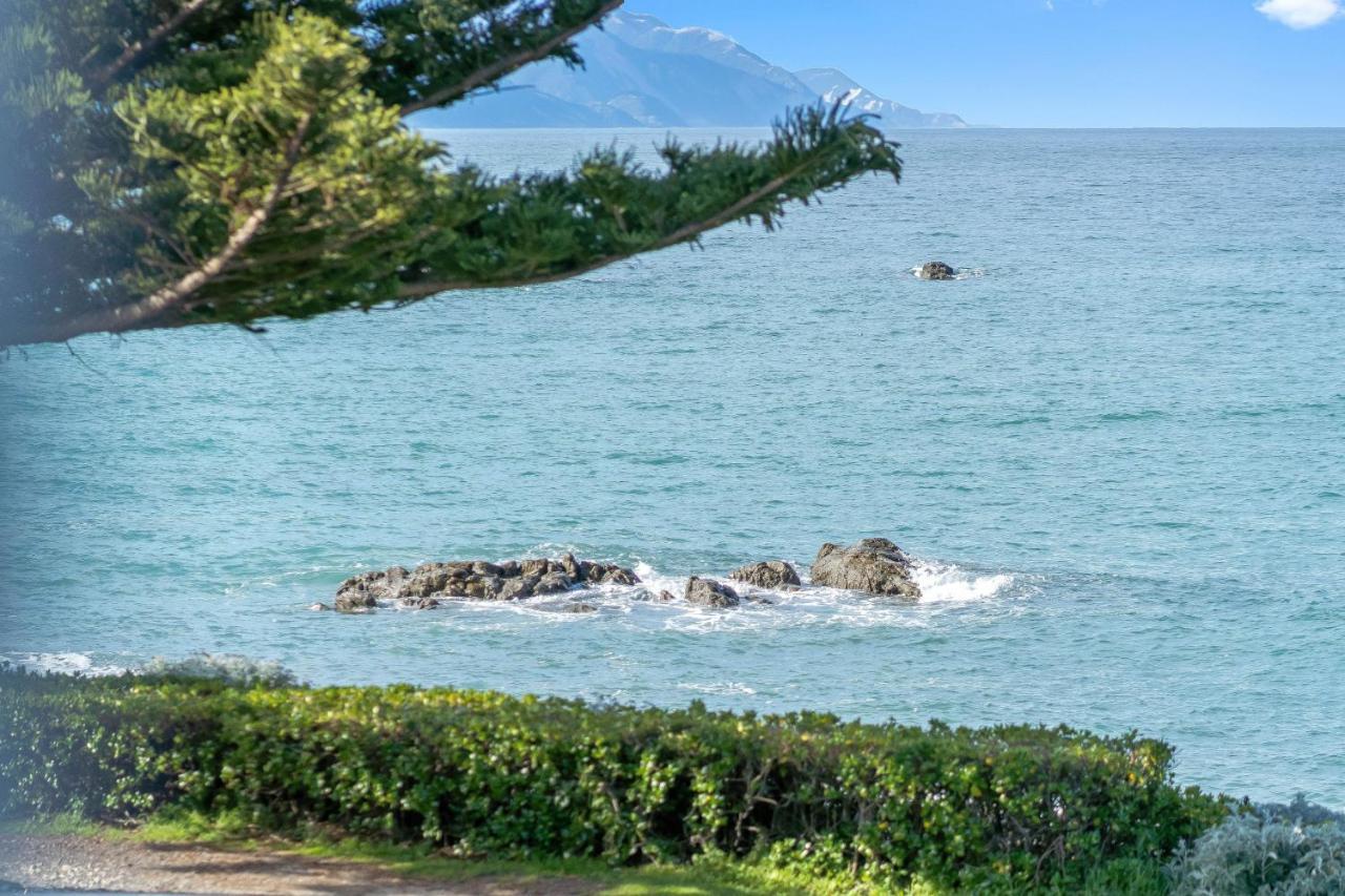 Kaikoura Waterfront Apartments Exterior photo